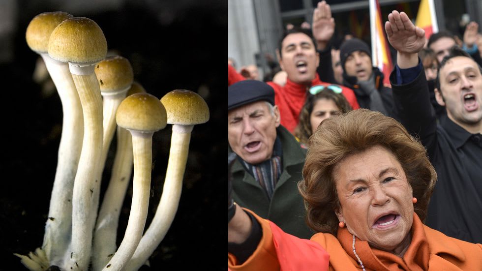 Scientists find magic mushrooms could help fight fascism