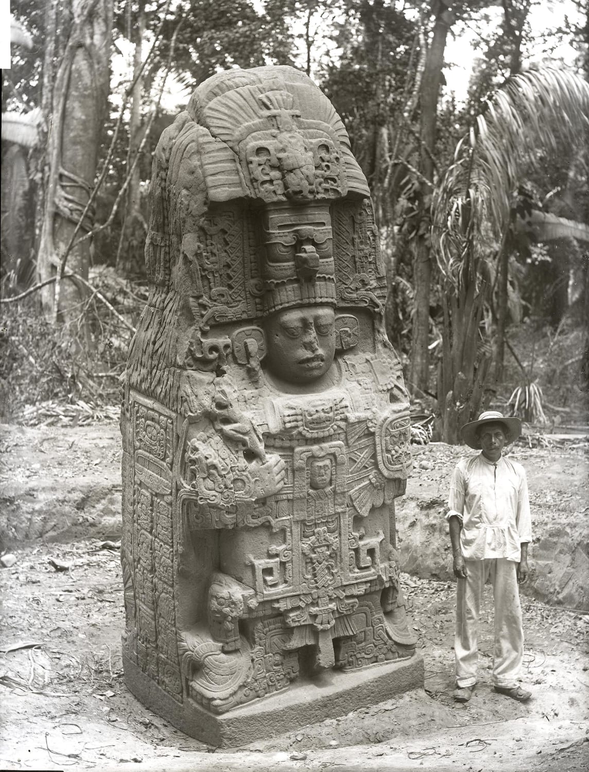 An old photo, taken by Alfred Percival Maudslay in 1894, of a man standing next to Stela K, a Maya stone monument carved in 805 CE and located near the eastern border of the Great Plaza in Quiriguá, Guatemala