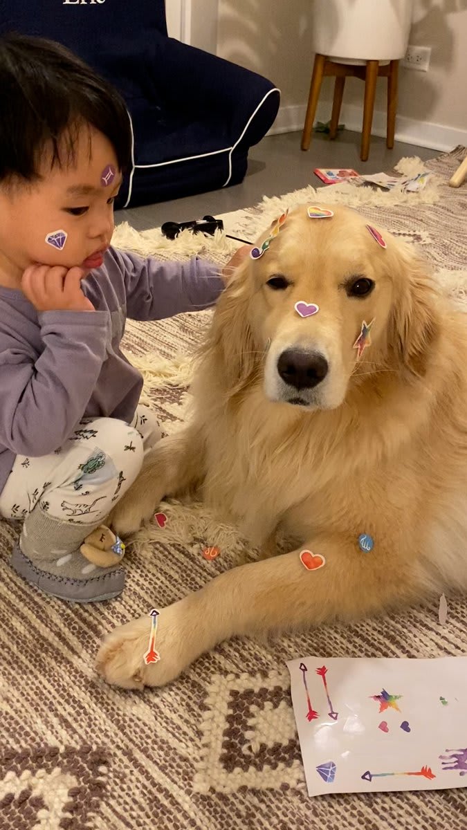 Boy grows up with a golden retriever and corgi — and he gives them hugs every night before bed ❤️