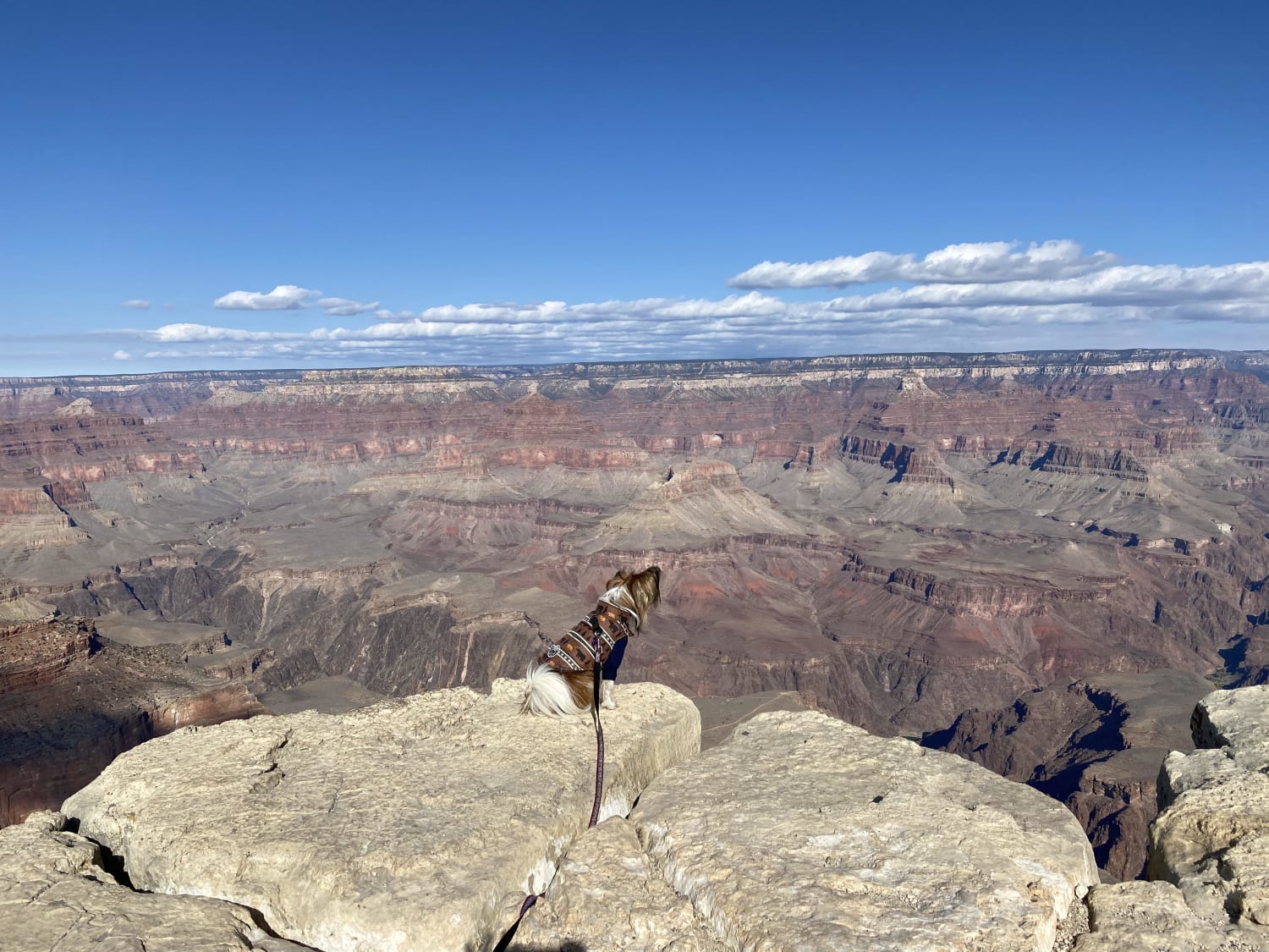 How we spent thanksgiving, Grand Canyon, South Rim Trail, Arizona, USA