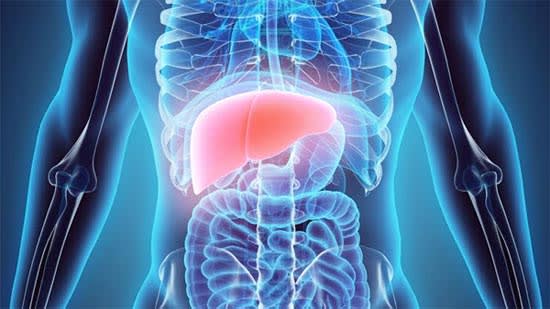 Need For Liver Transplant In Delhi, India