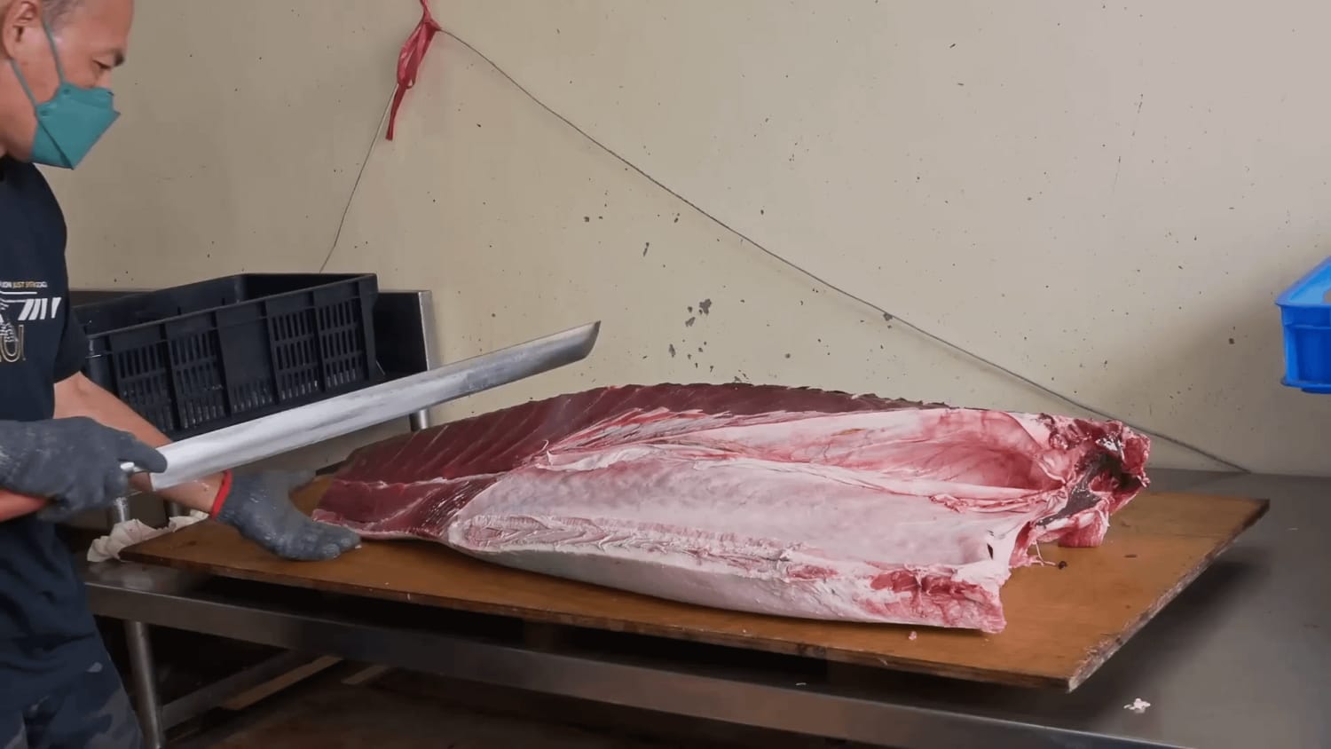 Giant Bluefin Tuna Cutting