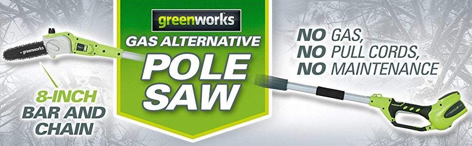GreenWorks 20672 G-MAX 40V 8-Inch Cordless Pole Saw