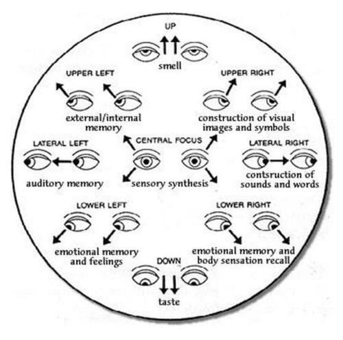 Eye movement guide