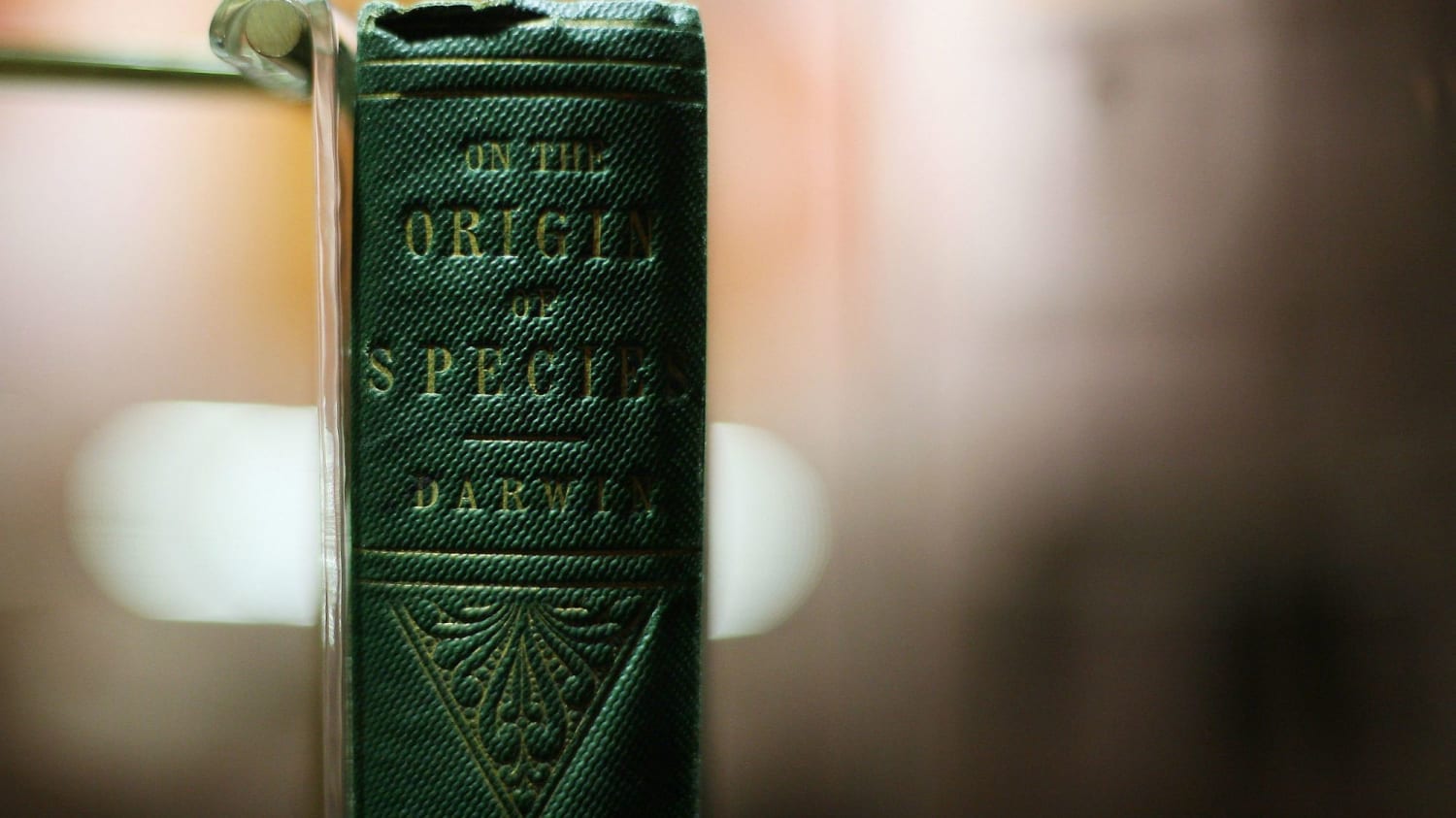 A First Edition of Darwin's On the Origin of Species Could Sell for $180,000