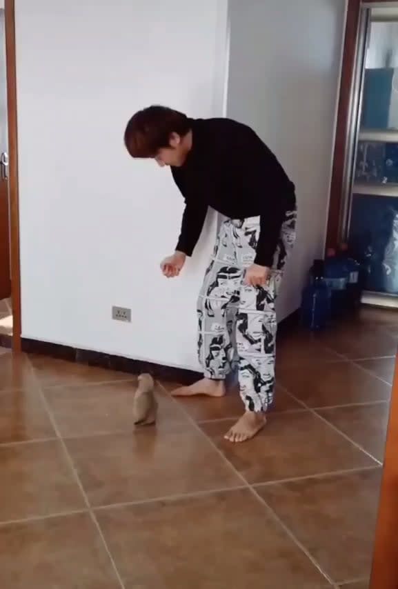Dance battle with a pup