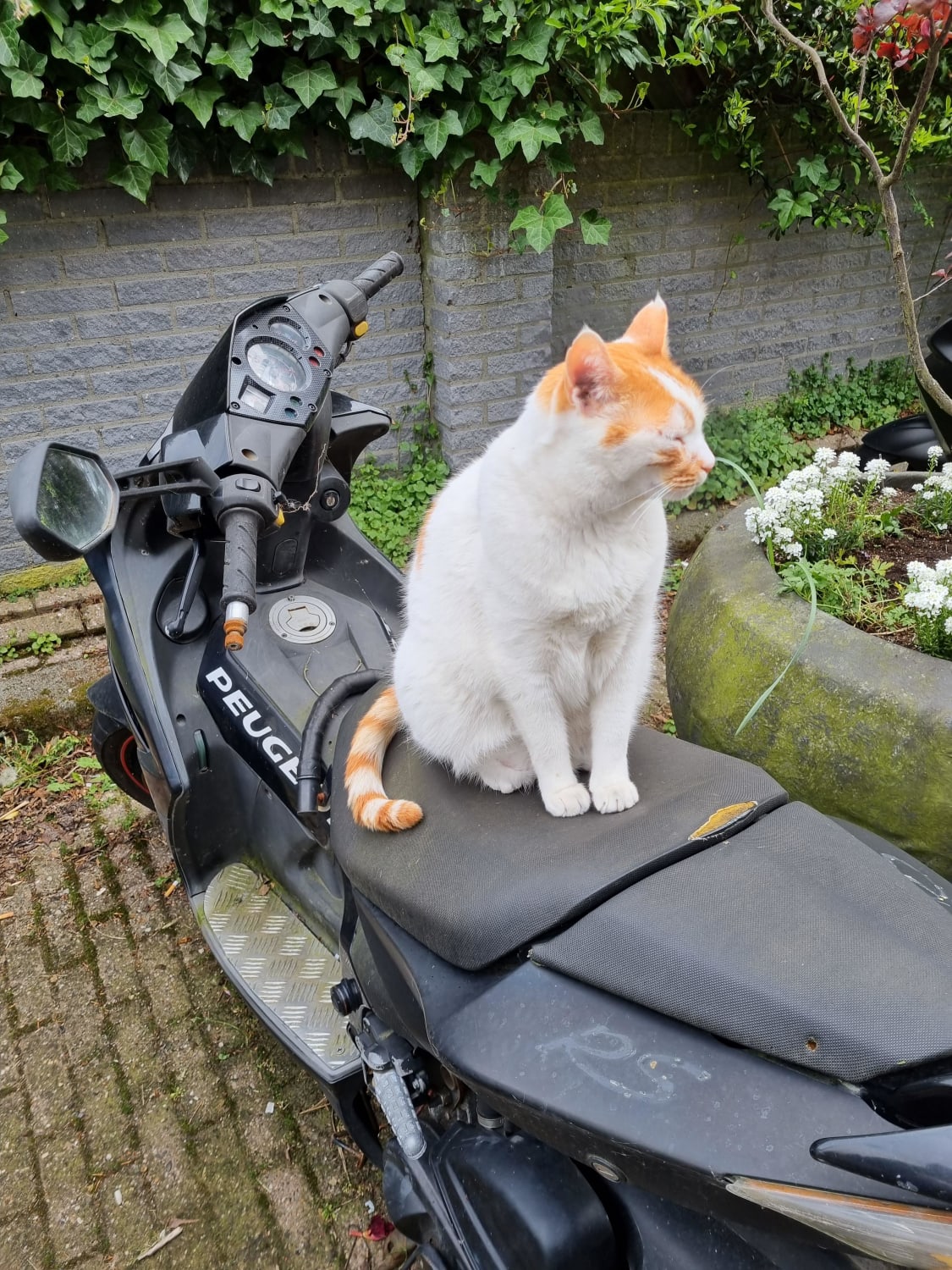 He is guarding the scooter