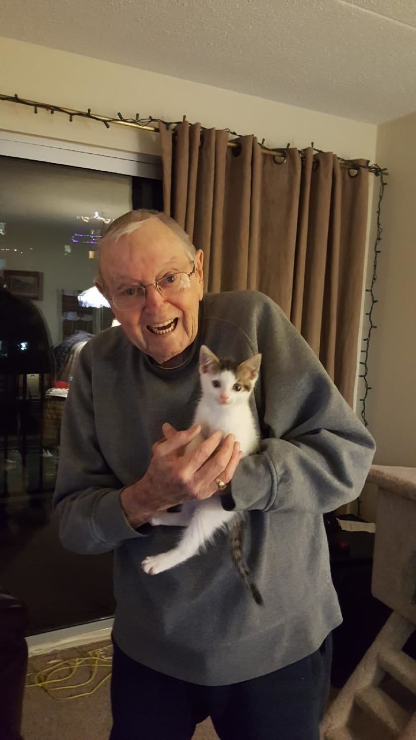 My Grandpa's cat passed away early December. He was crushed and didn't want to insensitively replaced her, but was so lonely he let my mom help him find a new kitten after a couple weeks. This is the picture she sent me.