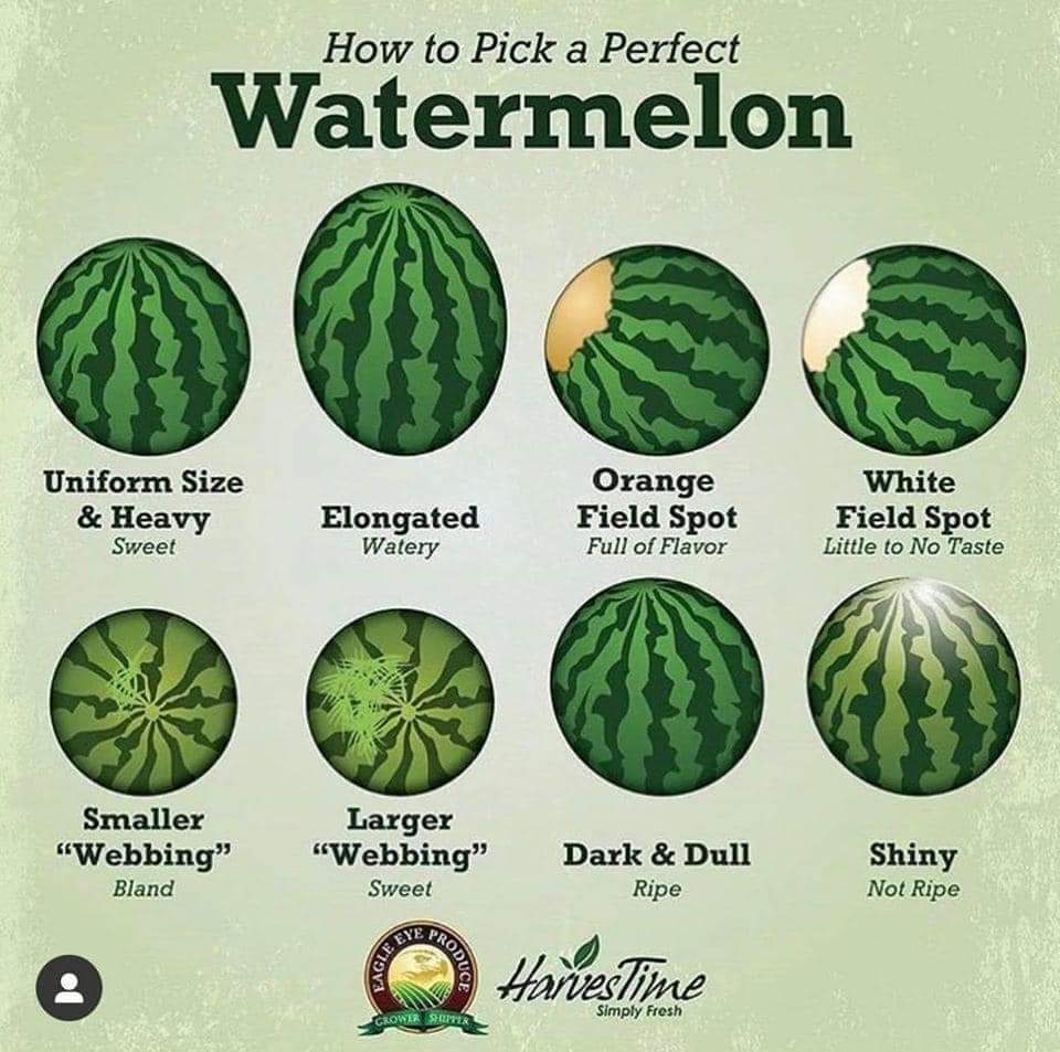 How to pick a perfect Watermelon