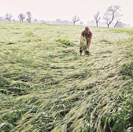 Agri-chemical companies betting on a sales boost on higher rabi sowing
