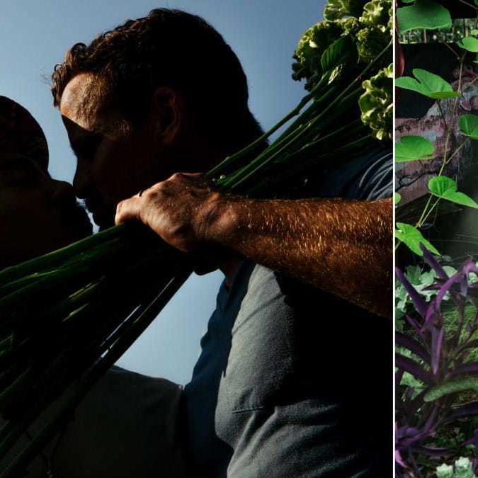 This Queer-Owned Farm Is an Oasis of Love