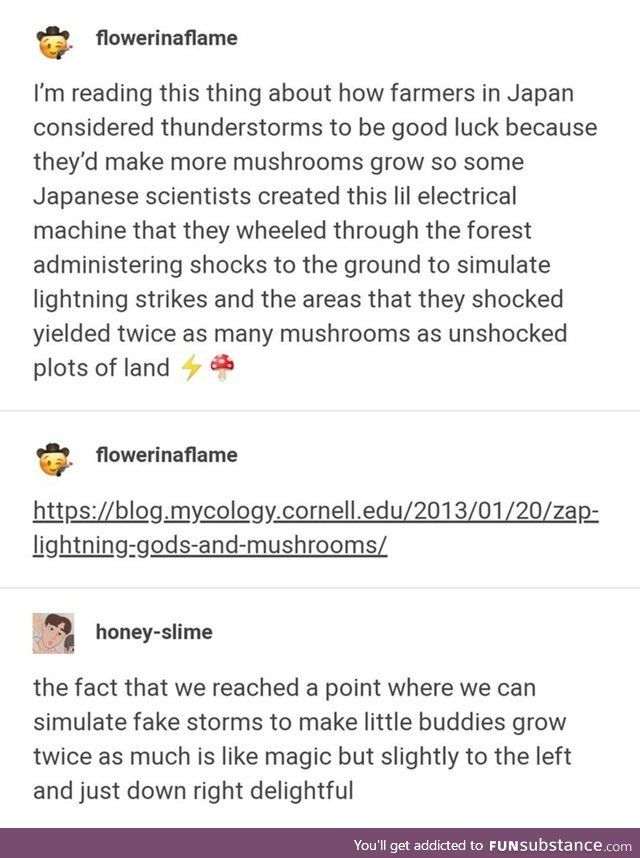 Thor, god of mushrooms - FunSubstance