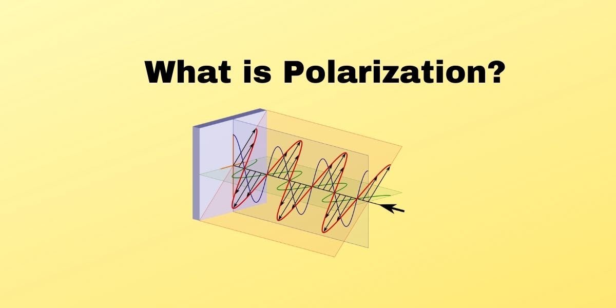 What is Polarization? - Definition, Types & Uses - CBSE Digital Education