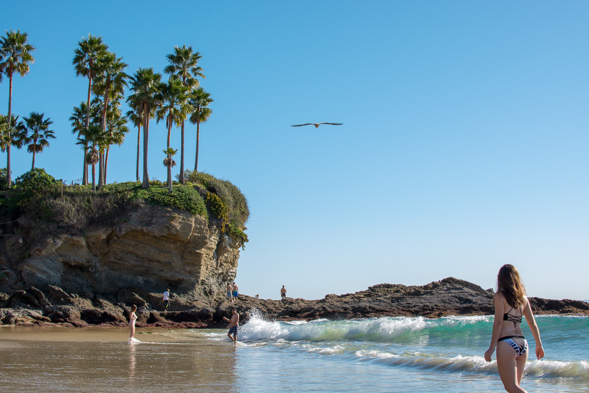 12 of the Best Free Things you Need to Do in Laguna Beach,CA