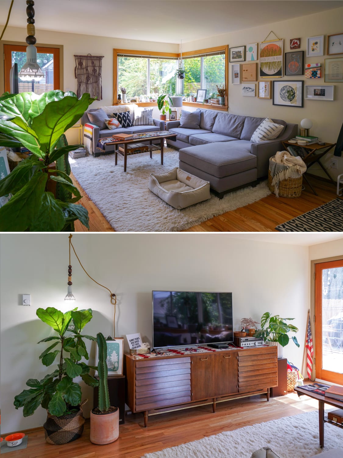Sunny mid-century modern eclectic living room [Seattle, WA]