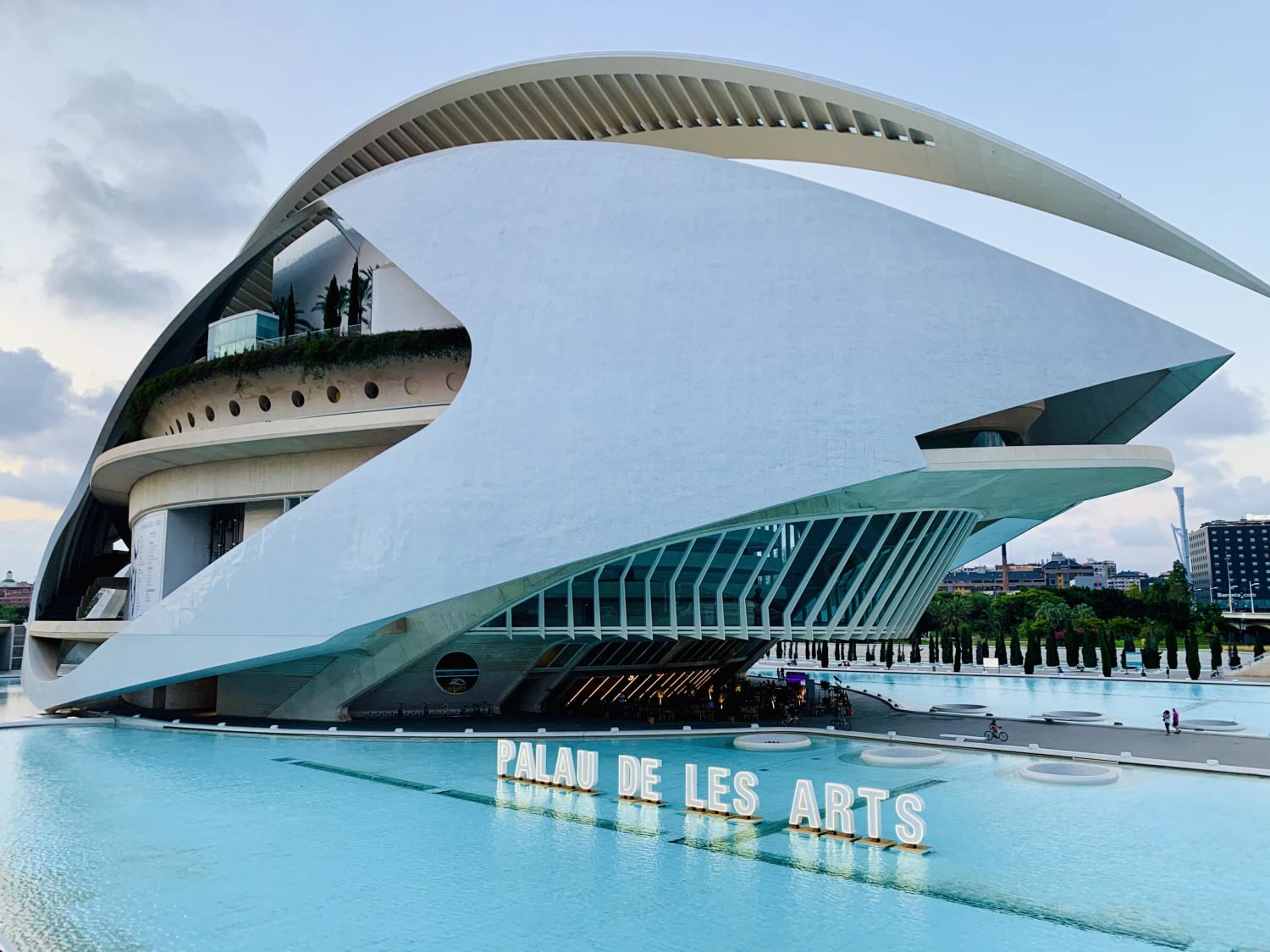 Palau de les Arts Reina Sofia designed by Santiago Calatrava; construction began in 1995 and the building opened in 2005.