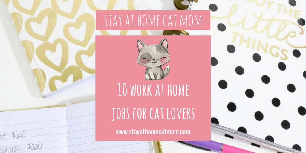 Work at Home Jobs For Cat Lovers Stay at Home Cat Mom