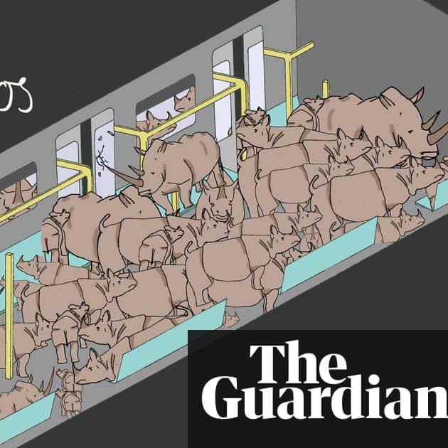Seven endangered species that could (almost) fit in a single train carriage