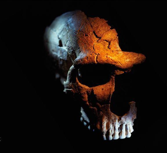 The not-so-dangerous lives of Neanderthals