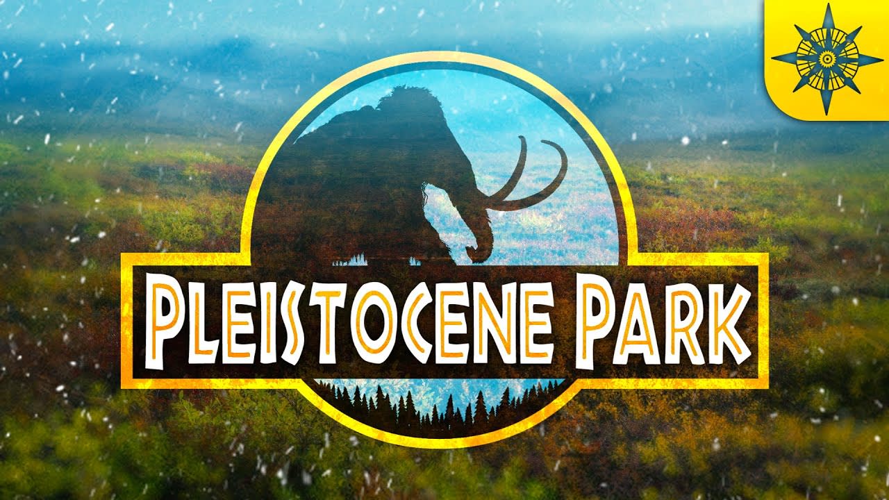 The plan to create a "Pleistocene Park" and how reintroducing an extinct ecosystem would help counter climate change. [20:22]