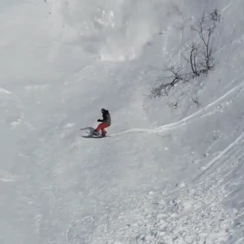Snow rabbit runs over an avalanche to safety.