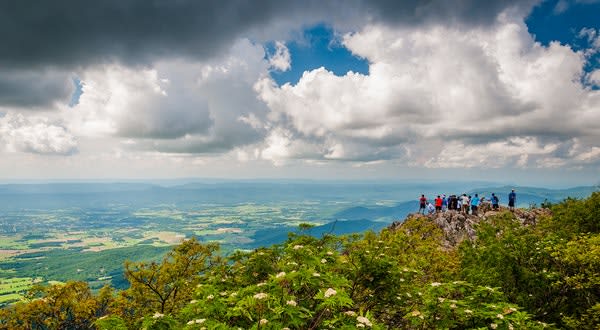 Mountain Music and Sparkling Streams: The Ultimate Blue Ridge Parkway Road Trip