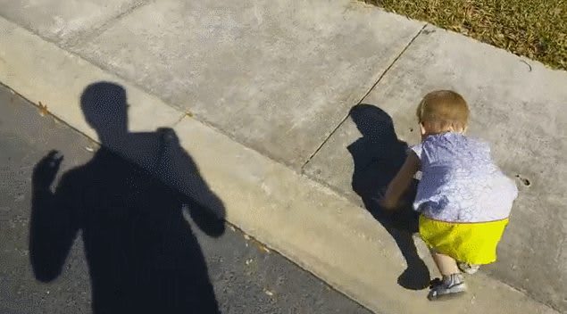 Kid has close encounter with a dangerous beast