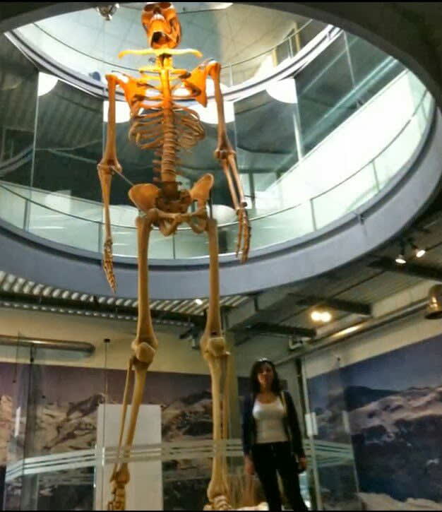 7 meters tall skeletons from Ecuador. This I only just learned from an article in a local news outlet, but it happened 60 years ago. Is there any theory or talk about this from an extraterrestrial perspective?