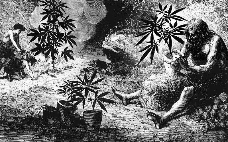 History of Cannabis - The Discovery of this Plant and How it Use