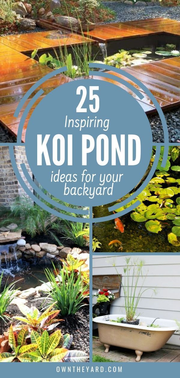 25 Inspiring Koi Pond Ideas for Your Backyard 2021: Own The Yard | Garden pond design, Pond design, Fish pond gardens