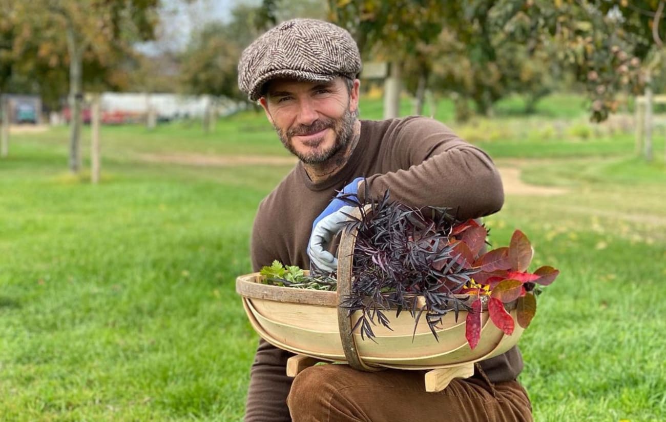 David Beckham Shows Off Vegan Cooking After Discussing Meat-Free Diet