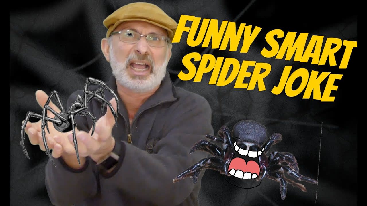 Funny Smart Spider joke A Laughaholics Presentation