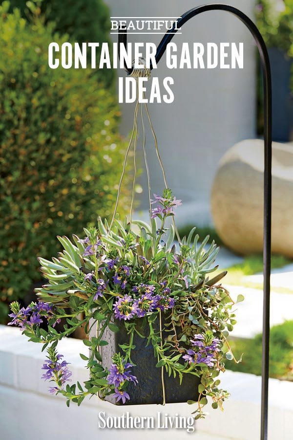 125 Container Gardening Ideas
