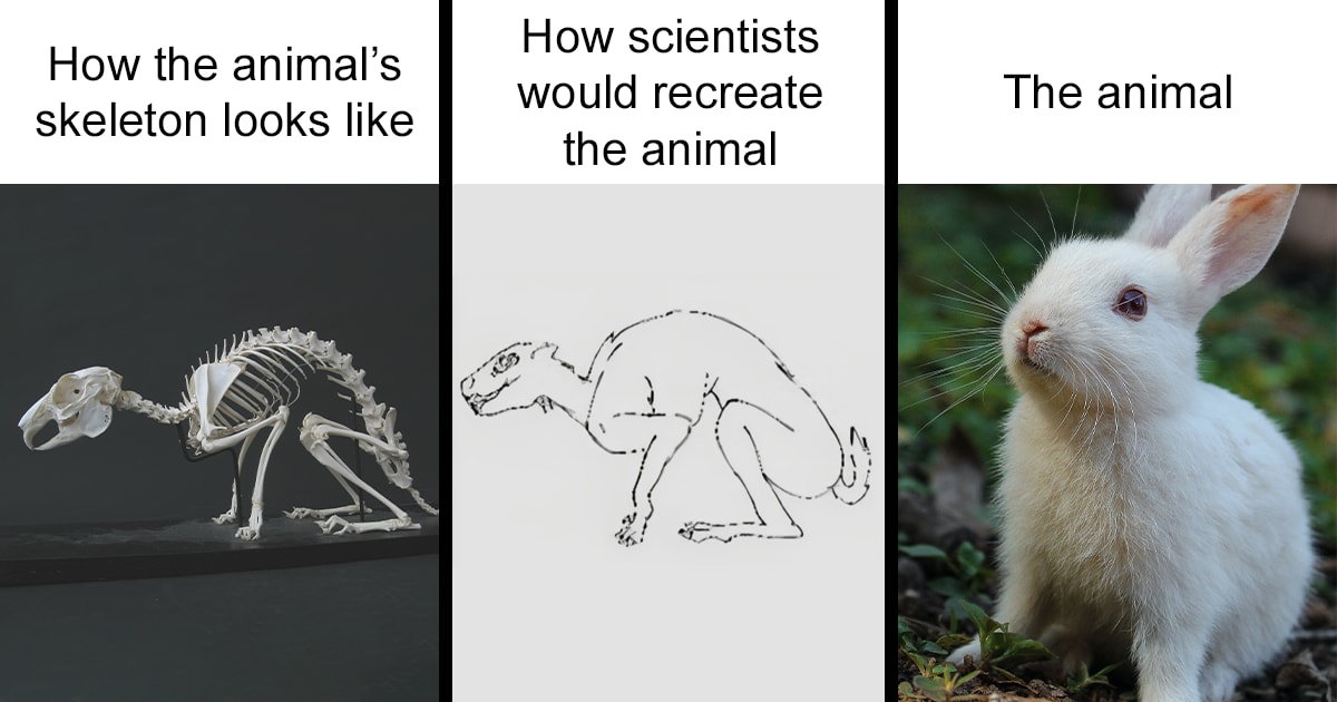 50 Clever Science Memes That Have Been Scientifically Proven To Cause Laughter 5604