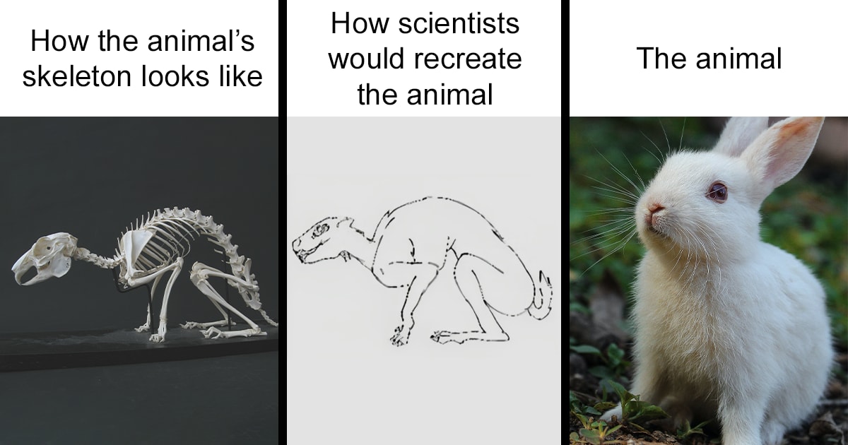 50 Clever Science Memes That Have Been Scientifically Proven To Cause