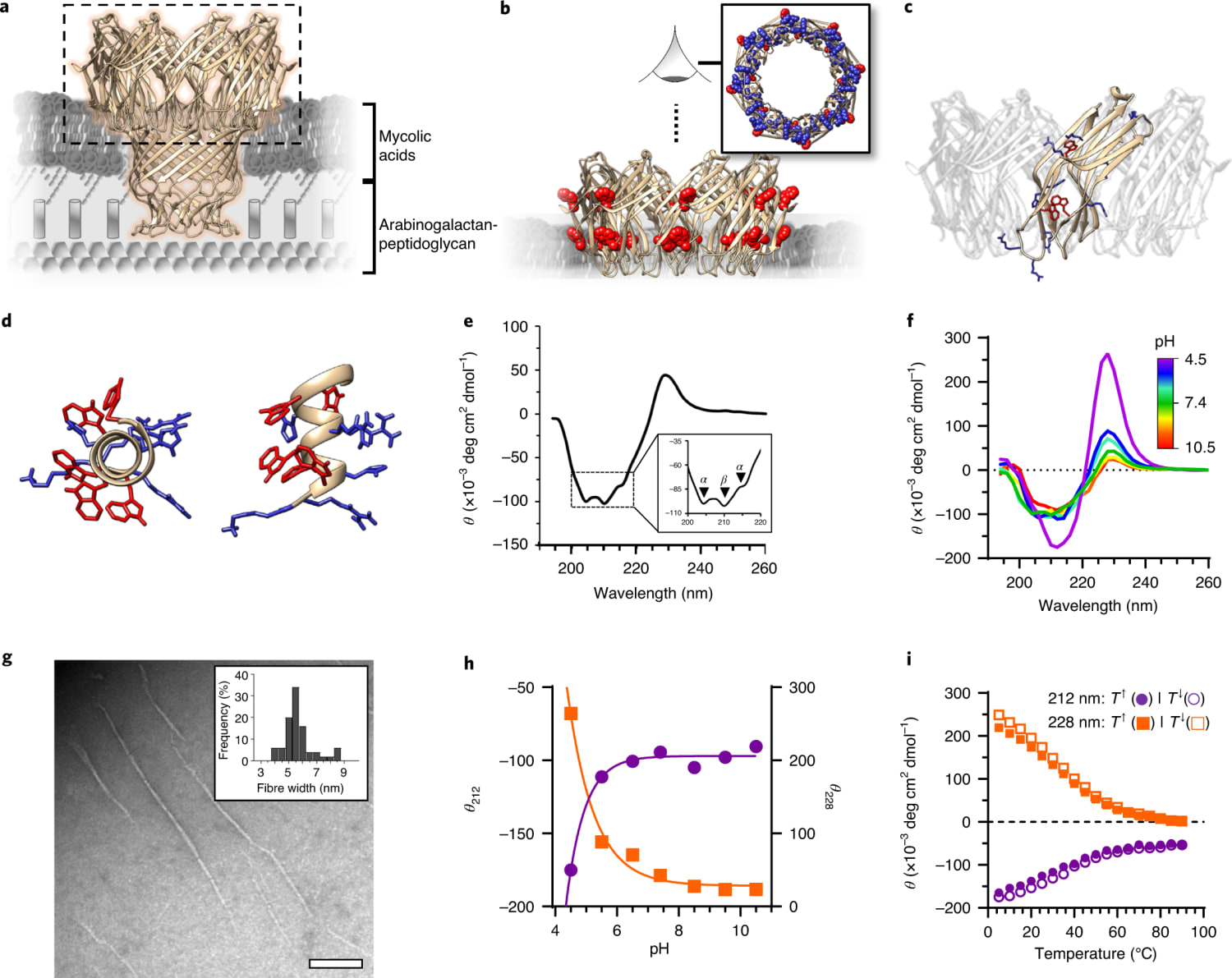 Pathogen-specific antimicrobials engineered de novo through membrane ...