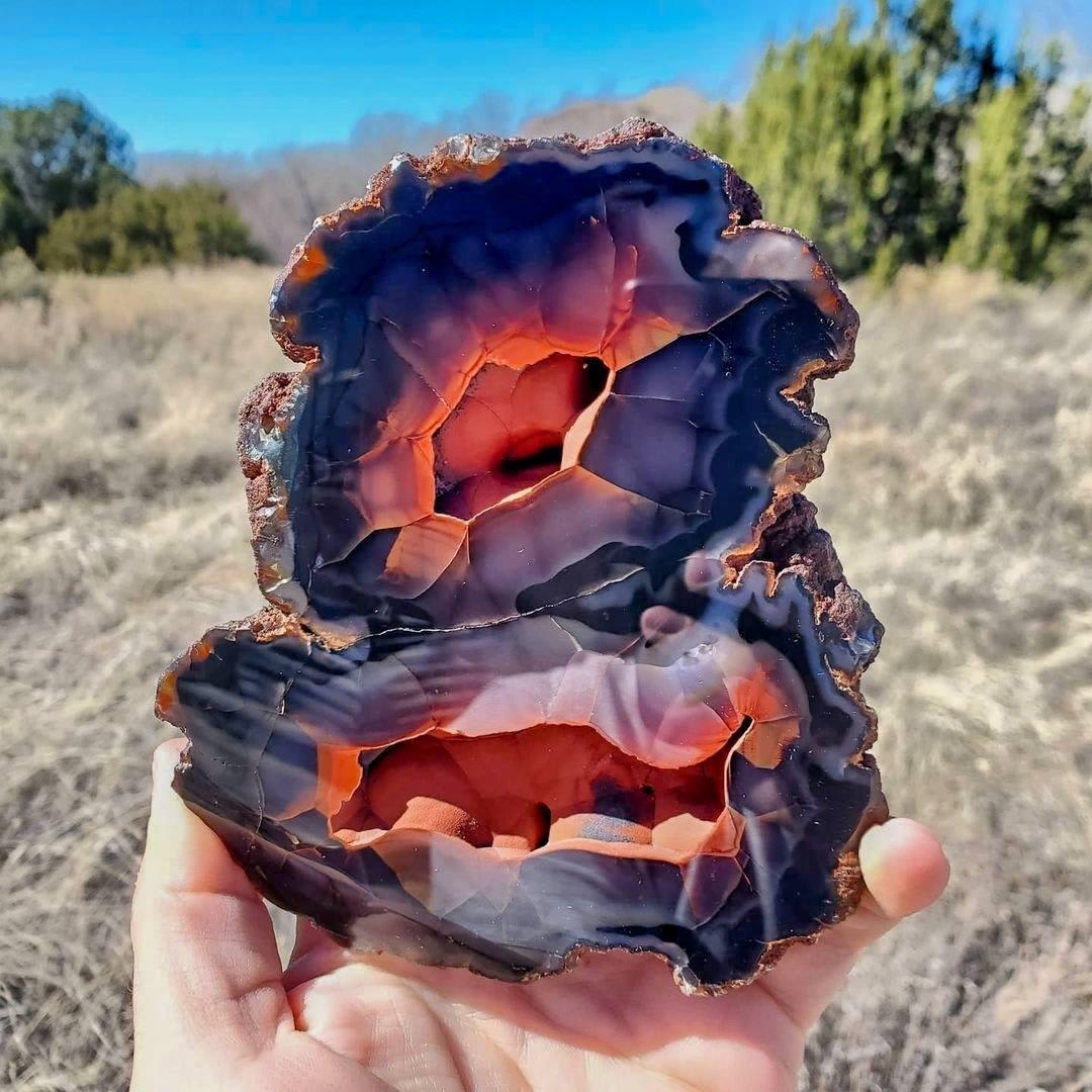 This exotic agate