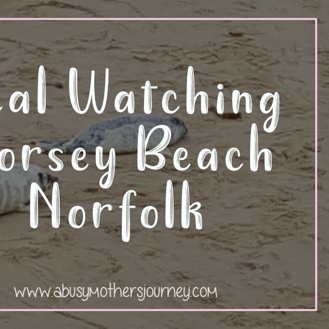 Seal Watching Horsey Beach Norfolk - A Busy Mother's Journey