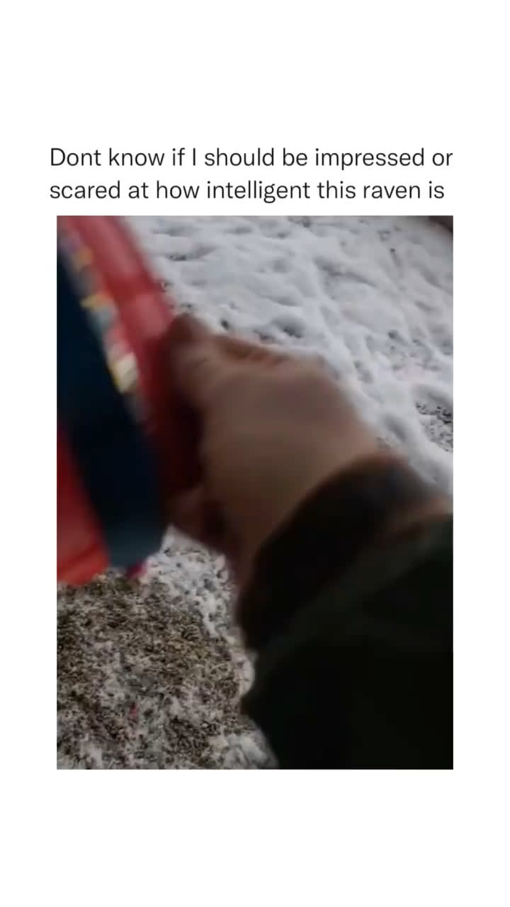 Machine learning algorithm upgrade