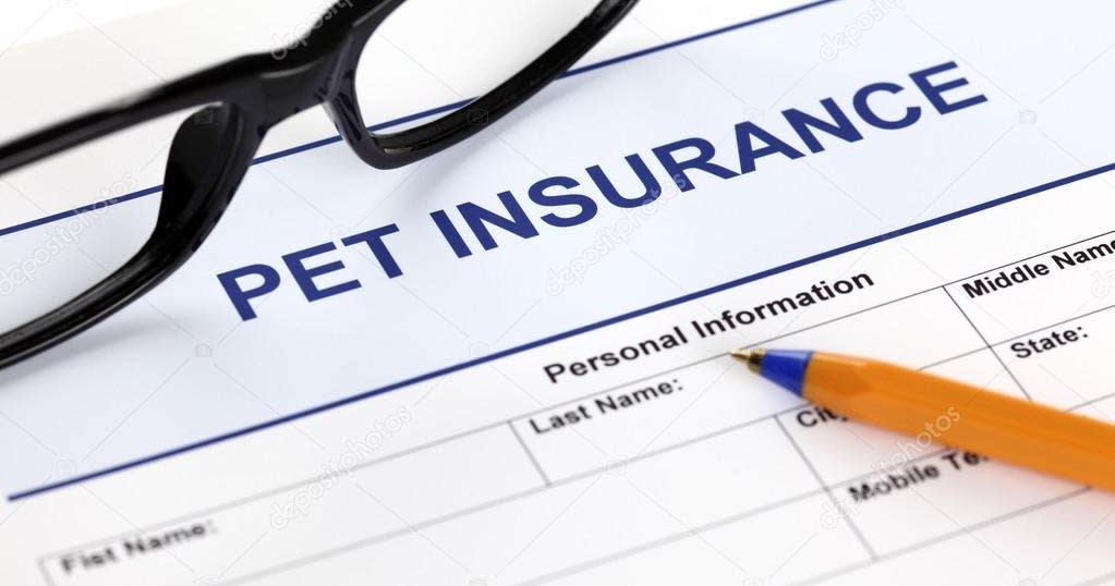 Pet Insurance Deductible: Which Type Is the Right Choice?