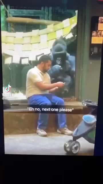Gorilla got you homie