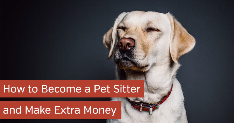 How to Become a Pet Sitter and Make Extra Money