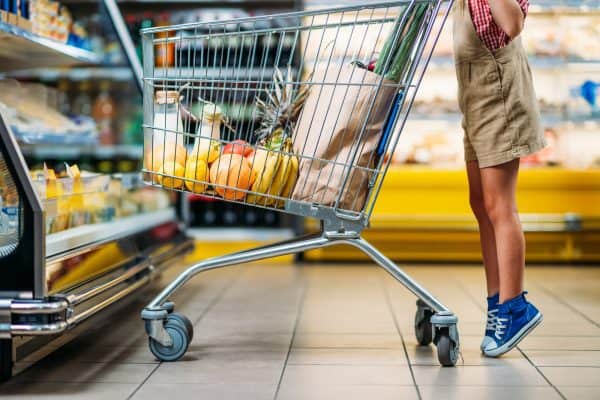 Grocery Delivery Services: Save Time and Money