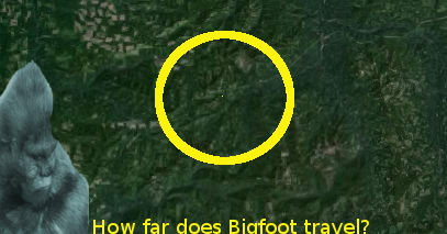How far does Bigfoot travel?