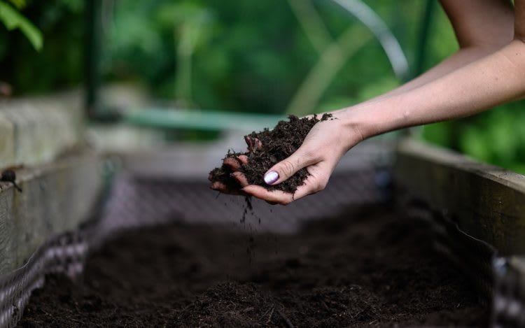 The Truth About Organic Fertilizers