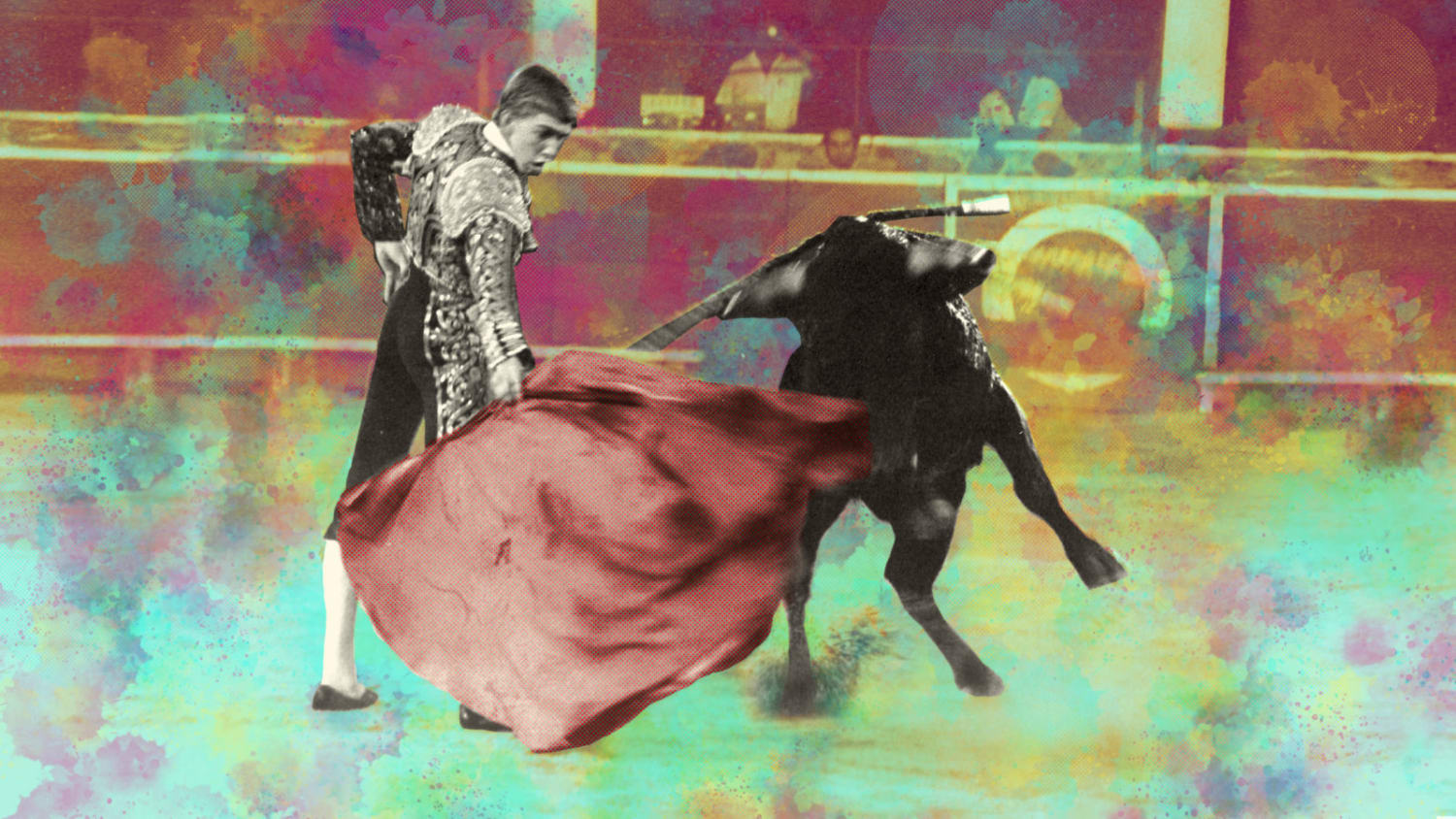 The First and Final King of Bloodless Bullfighting