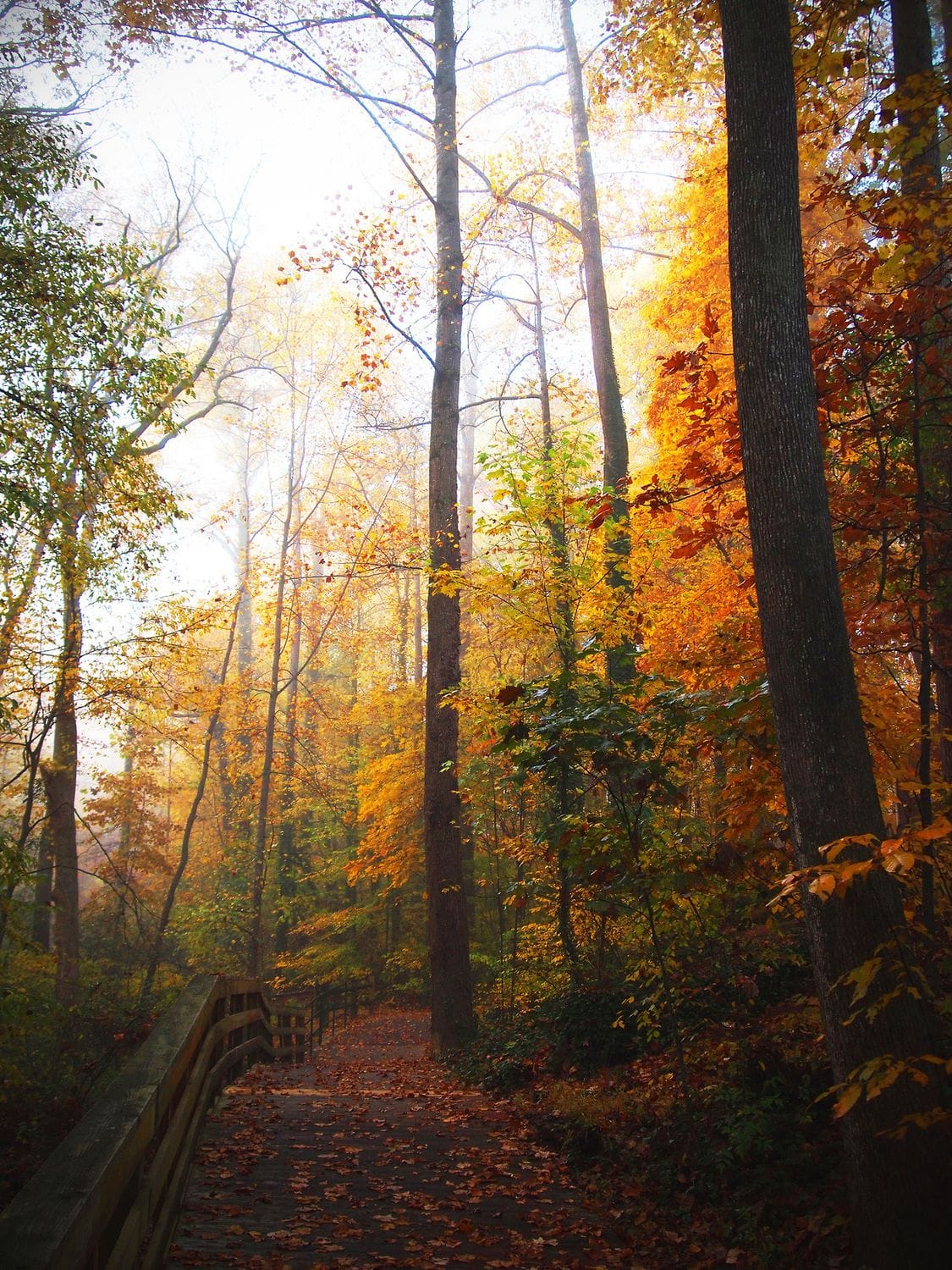 Image of a fall day..