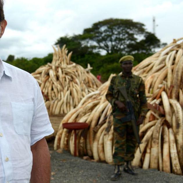 This Wildlife Detective Is Using DNA to Link Stolen Ivory to Big Cartels