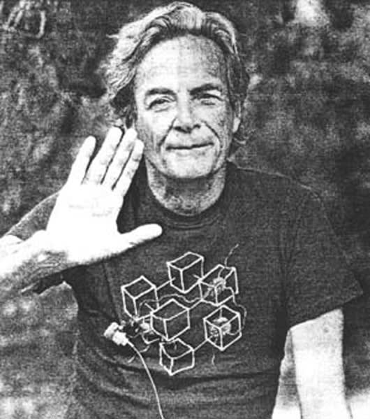 Richard Feynman and The Connection Machine
