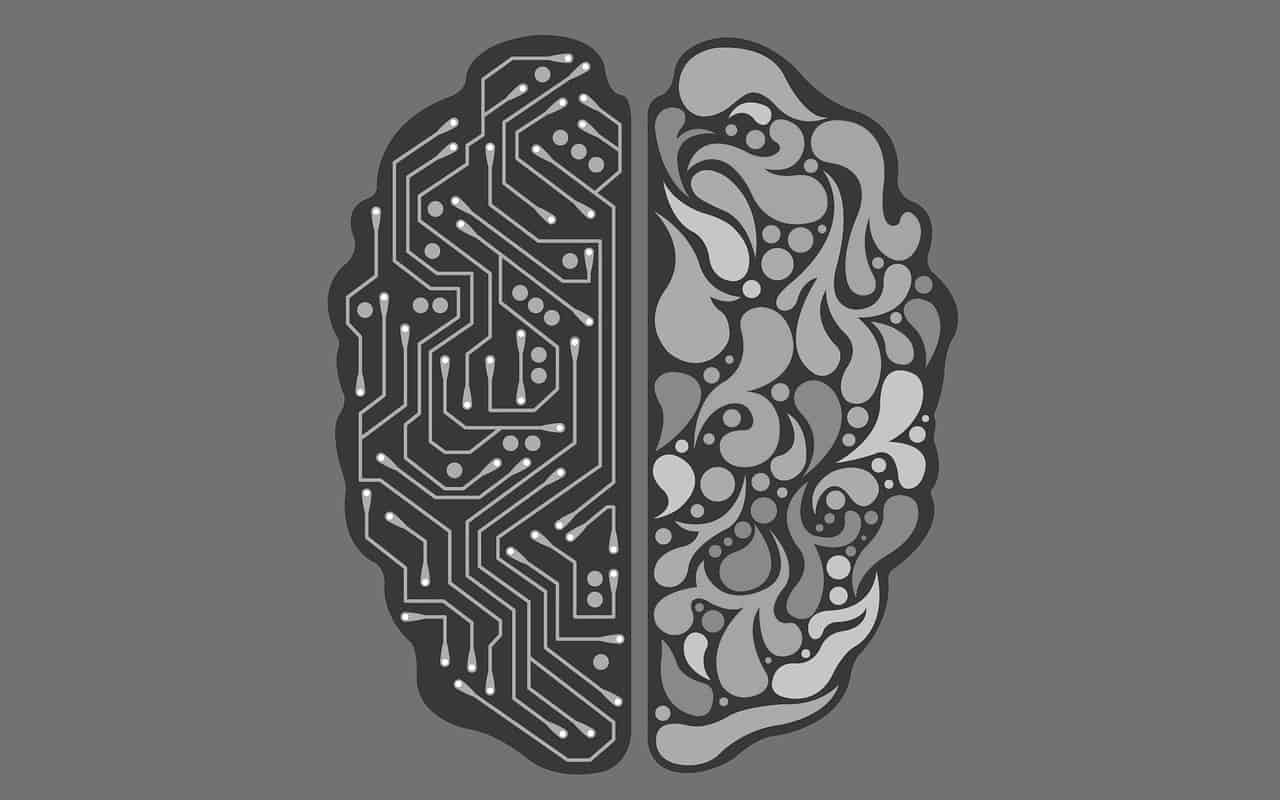 Difference Between Computer and Human brain in Points